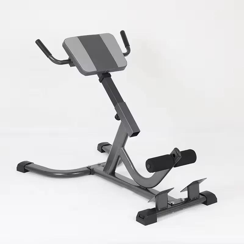Home Gym Hamstring Exercises - Panca Romana in Acciaio 2026 Regolabile