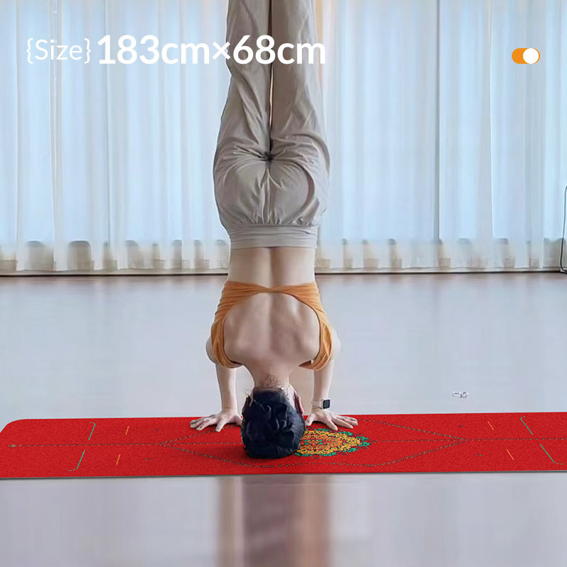 Zen Rhyme glassato Pu tappetin - Gymnastics Mat Thick recensione e prezzo
